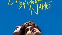 call-me-by-your-name-movie-2017-american-bl-movie